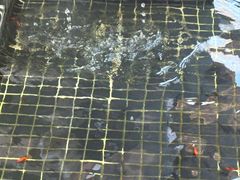 -七彩云南古滇温泉山庄