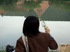 -贡湖湾湿地公园