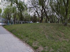 -长白岛森林公园