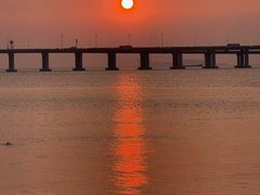 -宝安西湾红树林湿地公园