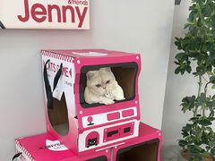-静宜和她的朋友(星海广场店)