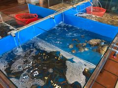 -越海渔村