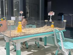 -怪兽屋·羊驼·猫咖·狗咖(俊华广场店)