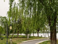 -咸阳湖景区