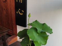 -道南書院·私房菜·早午茶·茶馆