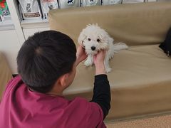 -宠颐生中康贝怡动物医院