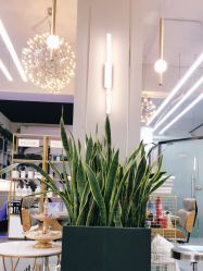 -FUTURE HN男士发型风格设计