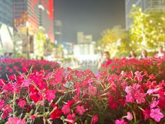 -春熙路步行街