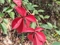 -北京金海湖景区