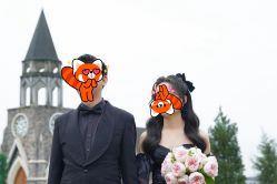 -金夫人婚纱摄影(总店)