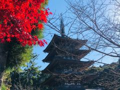 -醍醐寺