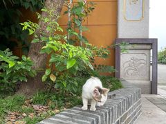 -高旻寺