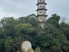 -江心屿景区