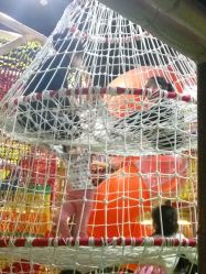 -六月巴士童乐园(抚顺罕王商场店)