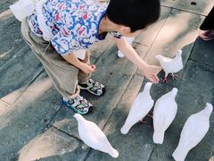 -天津妈祖文化园