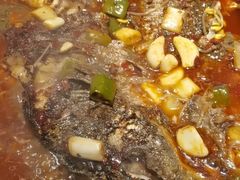 -沈胖子音乐烤吧·炒菜·龙虾(环城东路店)