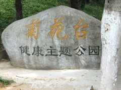 -菊花台公园