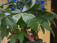 -太平洋PACIFIC SPA•奢睿水疗(万象城店)