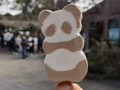-成都大熊猫繁育研究基地