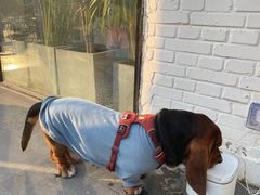 -小意思咖啡店(草桥店)