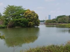 -海珠湖公园