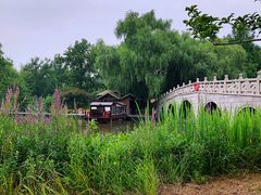 -溱湖国家湿地公园