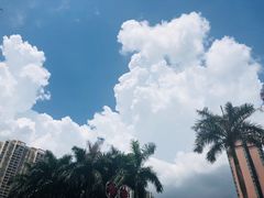 -水围村