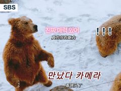 -新疆天山野生动物园