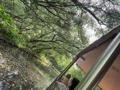 -大湾区中央湿地公园