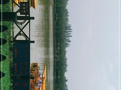 -杨柳青庄园