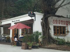 -广东紫坭糖厂(桥头路)
