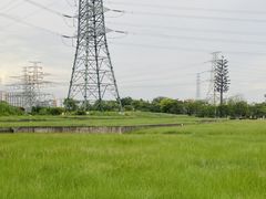 -王借岗森林公园