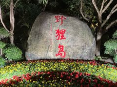 -野狸岛
