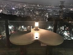 -草山夜未眠景观餐厅
