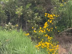 -崂山巨峰游览区