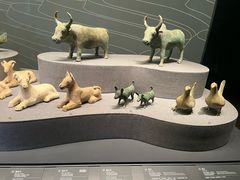 -广西壮族自治区博物馆