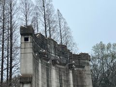 -音乐台
