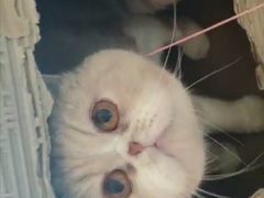 -恒客隆超市(自由大路店)