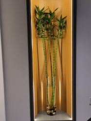 -FineYoga梵音瑜伽·普拉提