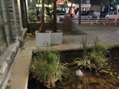 -绿地·中山里