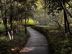 -杭州半山国家森林公园