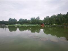 -云居湖