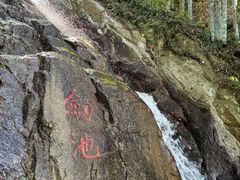 -莫干山风景区