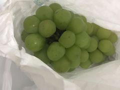 -马陆小张葡萄园农家乐