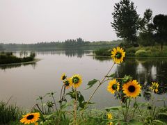 -东郊湿地公园