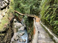 -鹿院坪生态旅游景区