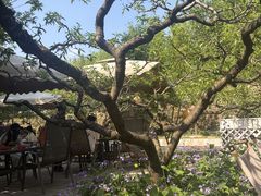 -桃源山庄·水蜜桃采摘·柴火鸡·烧烤团建(龙泉山店)