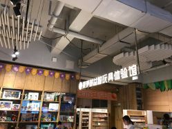 -菠萝树益智玩具体验馆(玖伍文化城店)