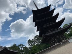 -奈良公园