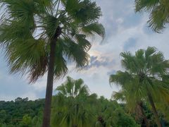 -重庆海昌加勒比海水世界